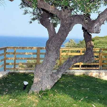 Kymothoe Elite 4* טסיליבי